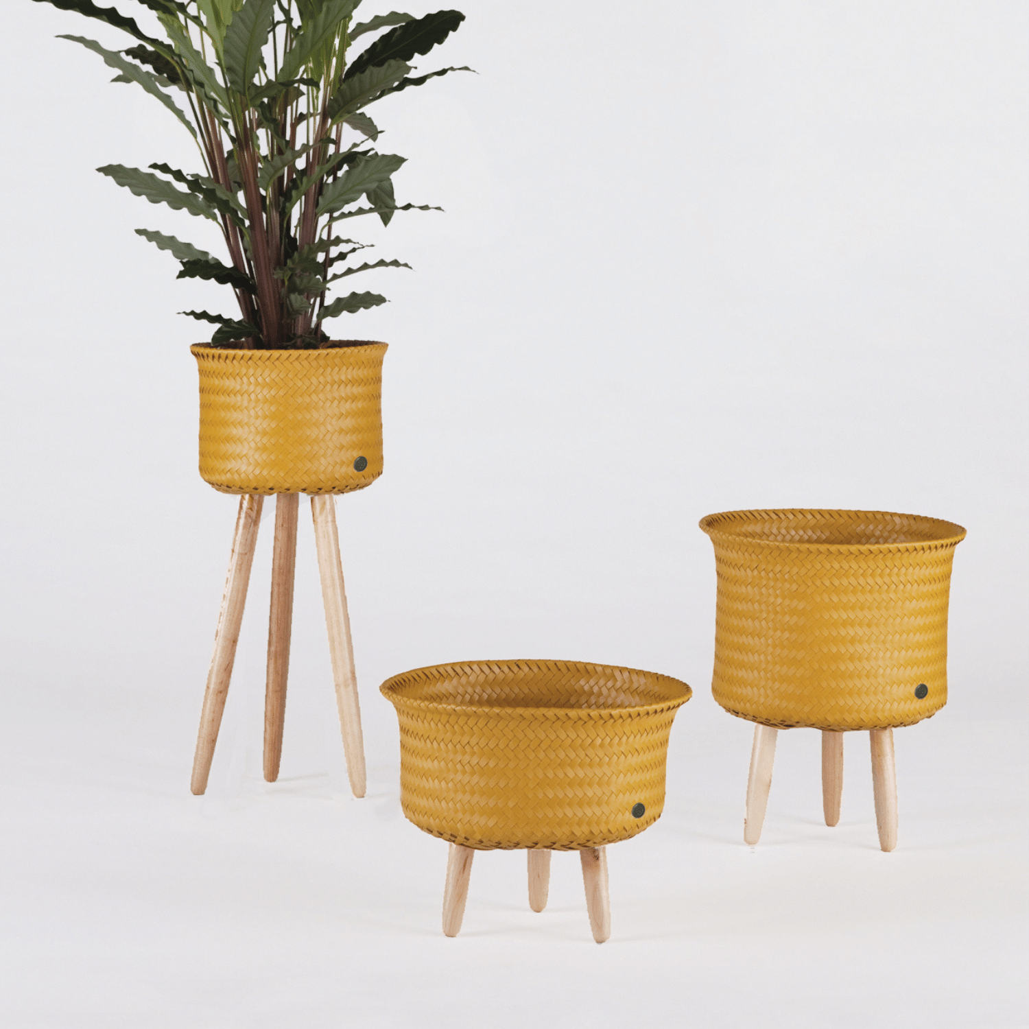 UP collection handed by cachepots jaune moutarde sur pied en bois 3 tailles