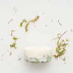 Munio Candela bougie 220ml parfumée naturel moss cire de soja