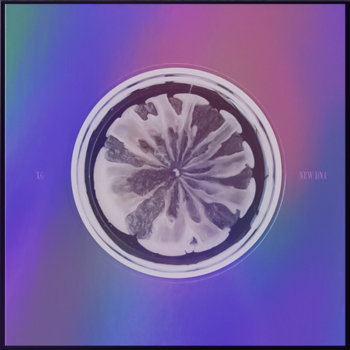 XG - New Dna