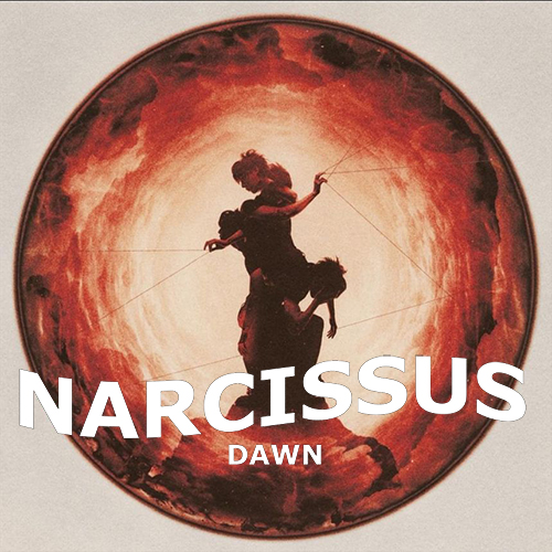 DAWN-Narcissus-cover-2