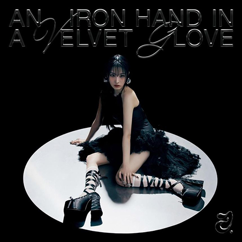JINI-An-Iron-Hand-In-A-Velvet-Glove-Photobook-cover