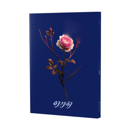 SOOJIN-Agassy-Photobook-blue-version