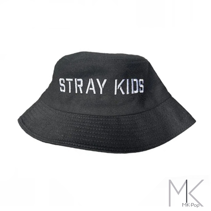 STRAY KIDS - Sweat A Capuche Logo Skz Vert