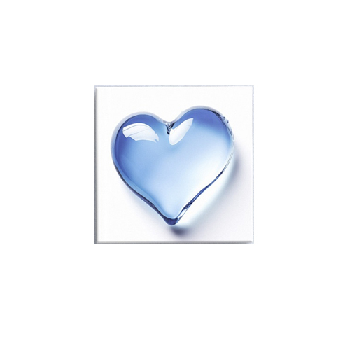 BOYCOLD-Sick-of-Love-version