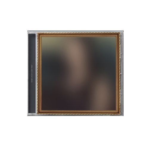 SOOJIN-Rizz-Jewel-version