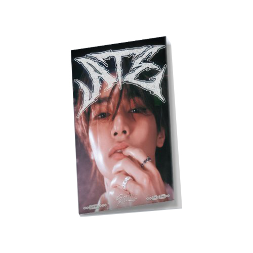 STRAY-KIDS-straykids-Ate-Accordion-in-jeong-in-version