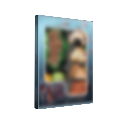 BLITZER-Lunch-Box-Photobook-version-box
