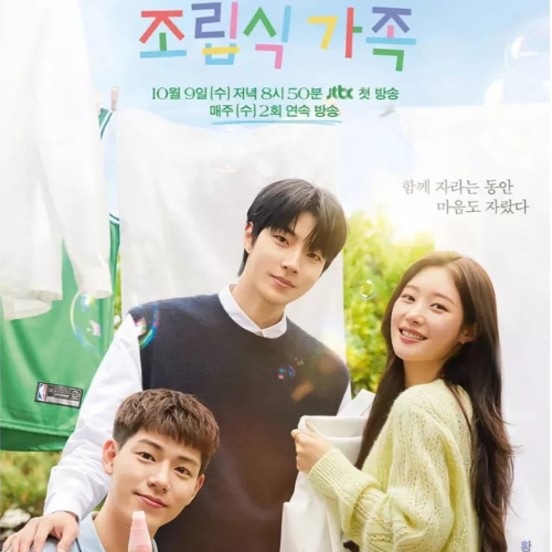 Family-By-Choice-OST-cover-mkpop