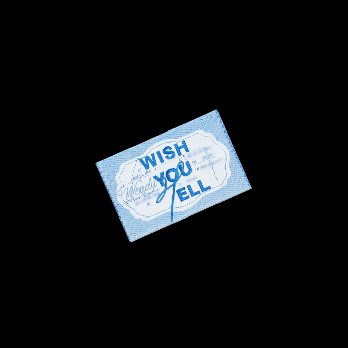 wendy-red-velvet-wish-you-hell-qr-cover-version-mkpop