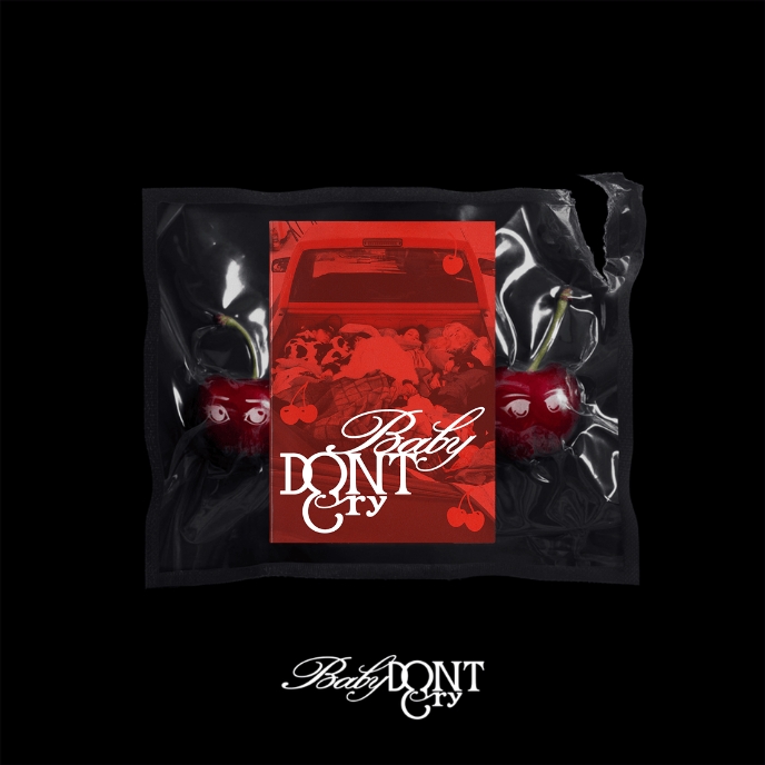baby dont cry PHOTOBOOK 新品未開封　5枚　F Girl Baby DONT Cry | Baby DONT Cry Debut Single [F Girl] PHOTOBOOK