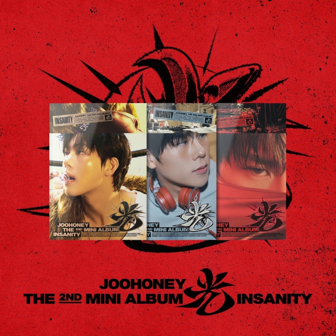joohoney-monstax-2nd-mini-album-insanity-photobook-mkpop
