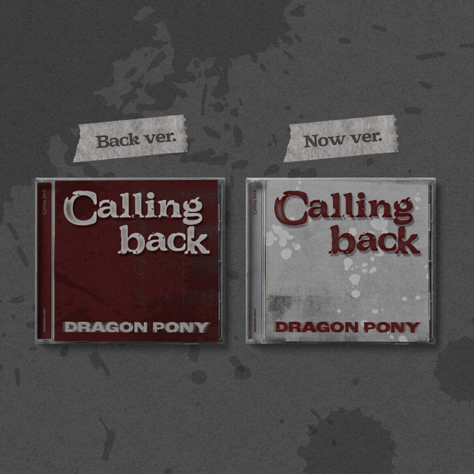 DRAGON PONY - Calling back