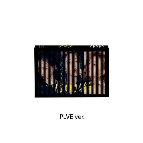 VIVIZ-Various-Plve-version-visuel