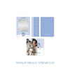 stray-kids-pop-up-store-dominate-celebrate-skzoo-photocard-tincase-wolf-chan-version-mkpop