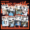 Stray-Kids-Mini-Album-THIS-&-THAT-&-cover.-mkpop