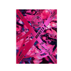The-Clan-Pt.2.5-Beautiful-Album-vol1-version-beautiful