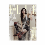 FELIX-STRAY-KID-GONG-YOO-JUN-JI-HYUN-RIIZE-Elle-Korean-Magazine-Novembre-2024-cover-J-mkpop