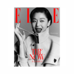 FELIX-STRAY-KID-GONG-YOO-JUN-JI-HYUN-RIIZE-Elle-Korean-Magazine-Novembre-2024-cover-K-mkpop