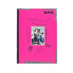 STRAY-KIDS-樂-STAR-rock-roll-rock-version
