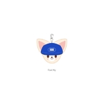 stray-kids-pop-up-store-karma-skzoo-ceremony-ballcap-plush-cover-Foxl-Ny-version-mkpop