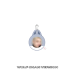 Stray-Kids-DO-IT-POP-UP-SOFT-FACE-BADGE-SKZOO-COVER-SET-wolf-chan-version-mkpop