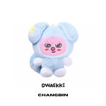 STRAY-KIDS-RUN-IT-SKZOO-PLUSH-in-TASY-DWAEKKI-Changbin-version-mkpop