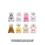 STRAY-KIDS-RUN-IT-SKZOO-SECRET-WIND-UP-PLUSH-version-mkpop