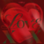 CLASS-Y-Love-xx-cover-mkpop