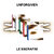 le-sserafim-unforgiven-compact-album-cover-mkpop