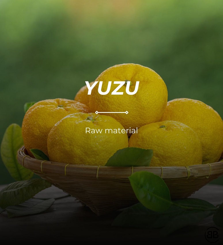 liqueur japonais e yuzu citron cocktail