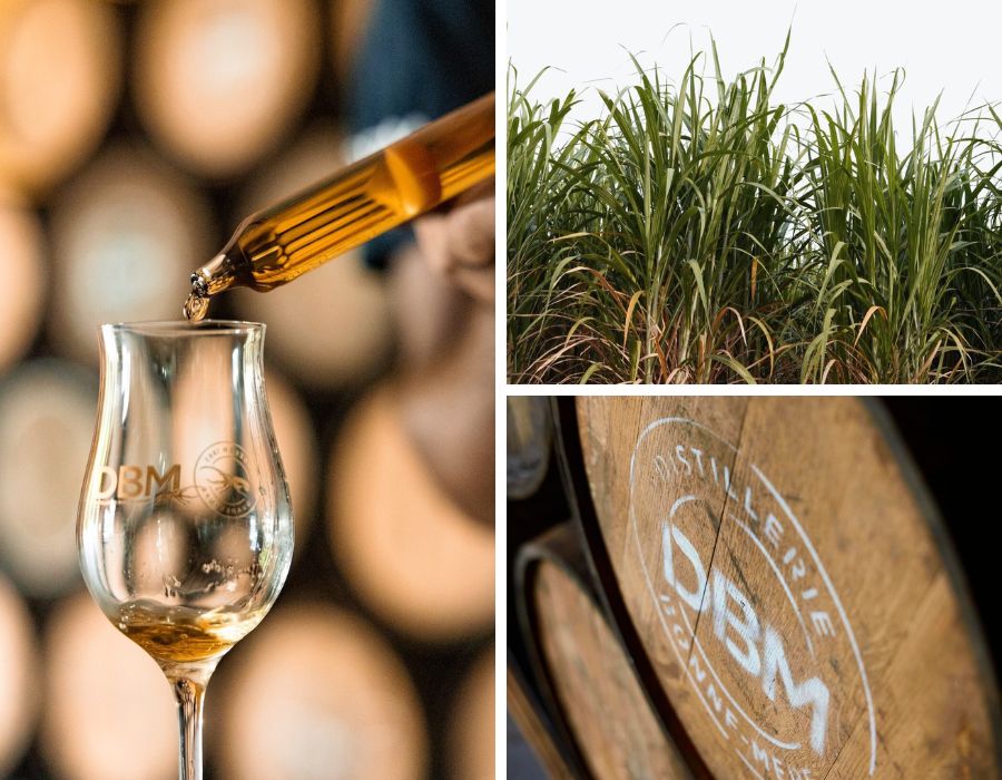 Rhum DBM VSOP 43 % | Cuvée Spéciale Enora | Rhum Vieux de la Guadeloupe