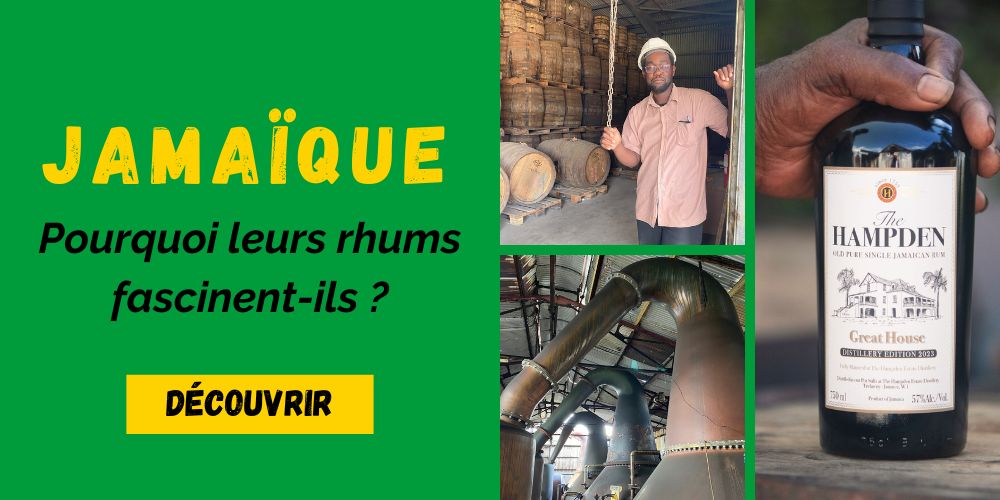 Pourquoi les rhums jamaïcains fascinent autant les amateurs ?