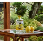 GIN JAPONAIS double yuzu citron cocktail