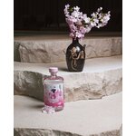ETSU Sakura 43%  Édition Limitée  Un Gin Japonais Artisanal et Exclusif (1)