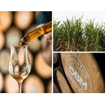 Rhum DBM VSOP 43 % | Cuvée Spéciale Enora | Rhum Vieux de la Guadeloupe
