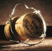 BOUCHON DE CHAMPAGNE