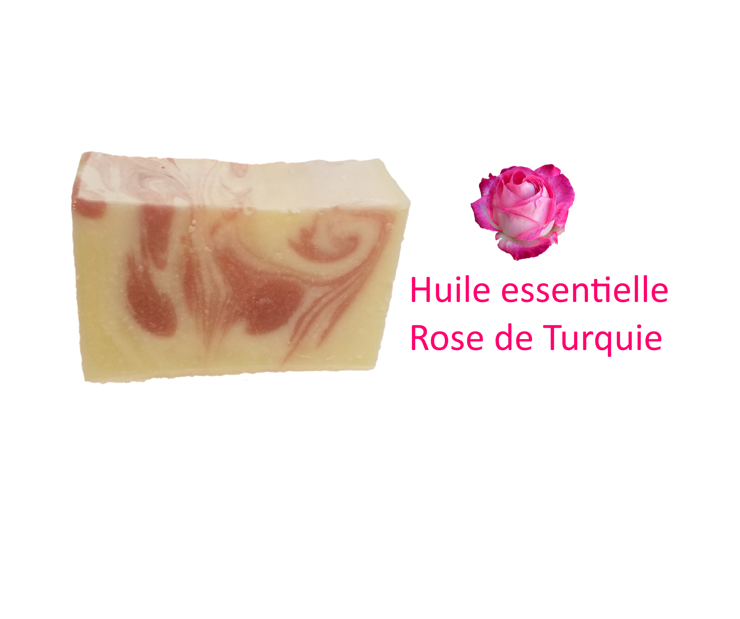 Rose rose