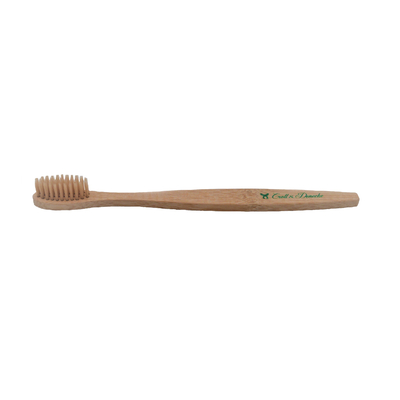 Brosse a dents adulte