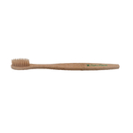 Brosse a dents adulte