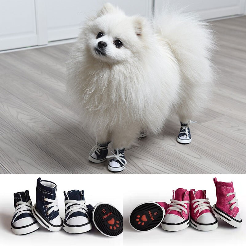 Chaussures-en-toile-antid-rapantes-pour-animaux-de-compagnie-baskets-imperm-ables-r-sistantes-l-usure