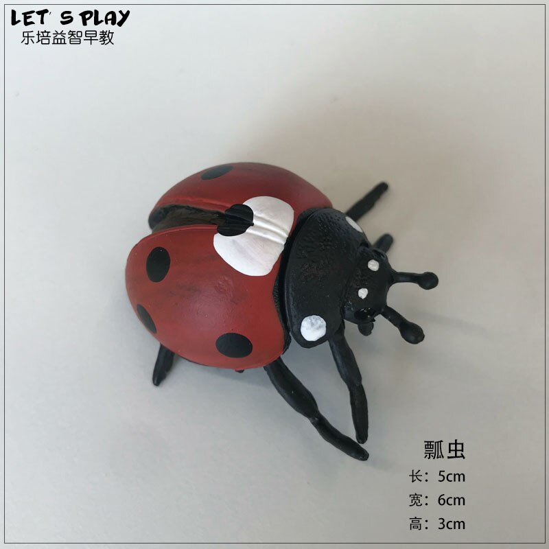 Figurines-en-forme-d-insecte-pour-enfants-jouet-Miniature-ducatif-Simulation-de-papillon-abeille-Mantis-coccinelle