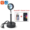 Lampe-LED-solaire-intelligente-Tuya-Bluetooth-projecteur-rvb-arc-en-ciel-lumi-re-d-ambiance-pour