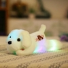 Chien-en-peluche-lumineux-Kawaii-35cm-jouets-lumineux-lumi-re-LED-animaux-mignons-jolis-oreillers-color