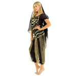IEFiEL-Costume-de-danse-du-ventre-tenue-indienne-style-gyptien-Bollywood