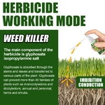 Herbicide-tueur-de-mauvaises-herbes-Type-de-s-lection-d-sherbant-par-pulv-risation-d-sherbage