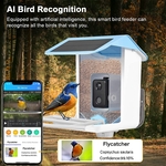 Mangeoire-oiseaux-solaire-intelligente-avec-cam-ra-cam-ra-vision-nocturne-1080HD-h-ros-AI-connexion