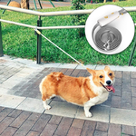 Laisse-r-tractable-pour-chien-de-petite-et-moyenne-taille-corde-lastique-Corgi-Anti-perte-nouvelle