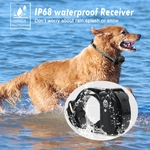 Cl-ture-lectrique-sans-fil-pour-chien-mise-niveau-Rechargeable-IP67-200m-accessoire-d-entra-nement