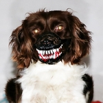 Museli-re-de-s-curit-pour-chien-d-guisement-d-halloween-masque-de-chien-Zombie-tanche