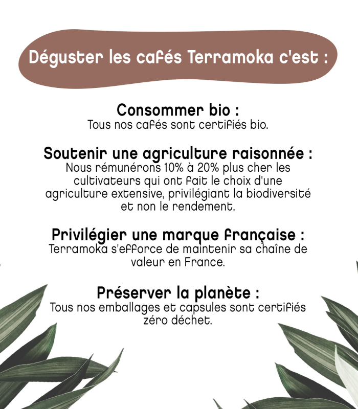 cafe-bio-vrac-300-capsules-home-compost-zero-dechet-type-nespresso-monsieur-albert (6)
